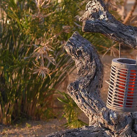 Anemos And Almyra 金尼昂