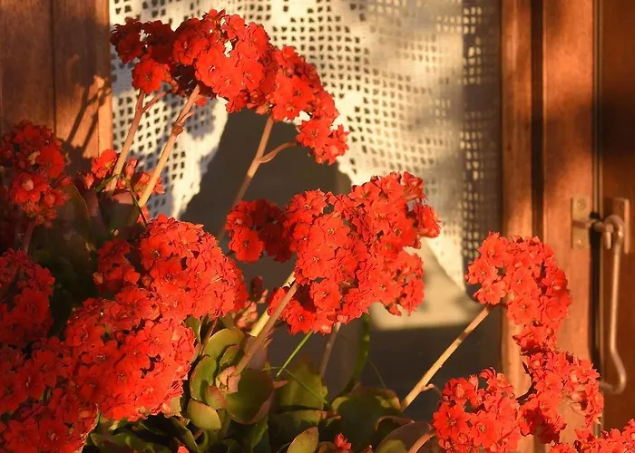 Anemos And Almyra Daire Kini