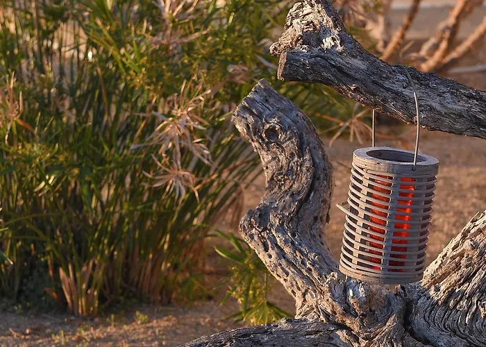 Anemos And Almyra Kini